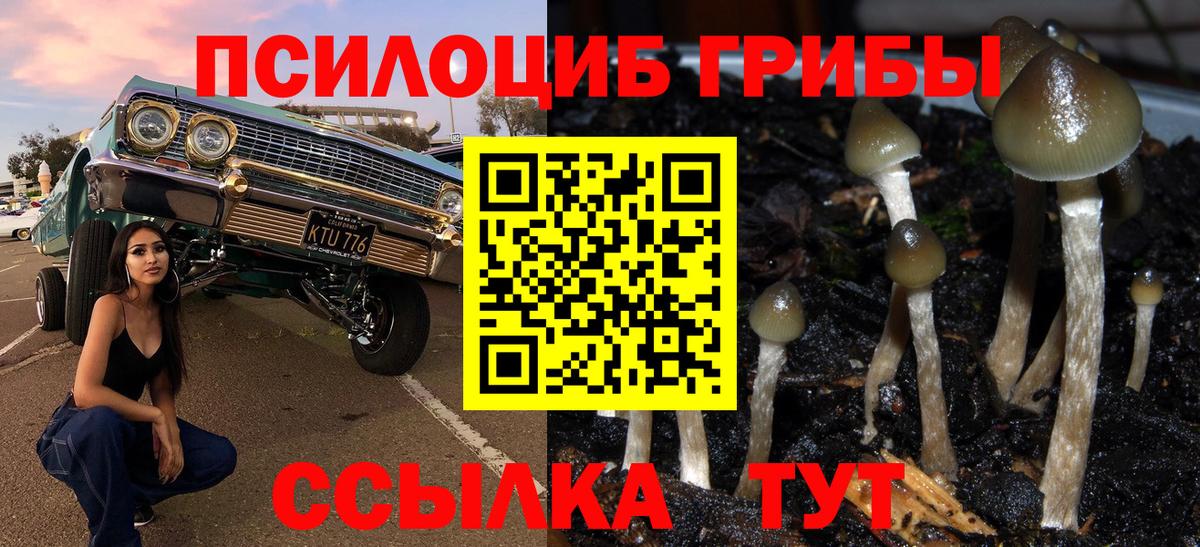 Галлюциногенные грибы Psilocybe  Галлюциногенные грибы ЛСД  Острогожск  Вход с VPN 