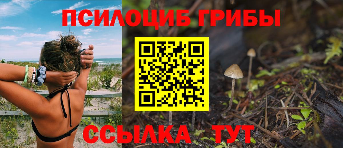 Галлюциногенные грибы GOLDEN TEACHER Острогожск